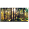 Canvas Print Forest Sun Trees Spring Morning 80x40 cm