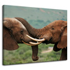 Canvas Print Elephant Couple Close Together Nature Beauty of Nature 100x80 cm