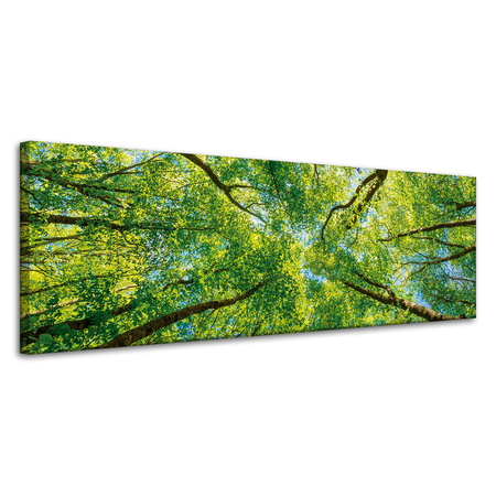 Canvas Print Trees Leaves Nature Forest Spring 120x40 cm