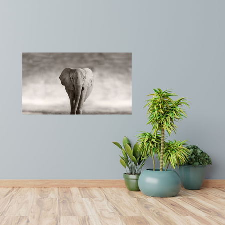 Canvas Print Black and White Elephant Posing Africa 100x80 cm