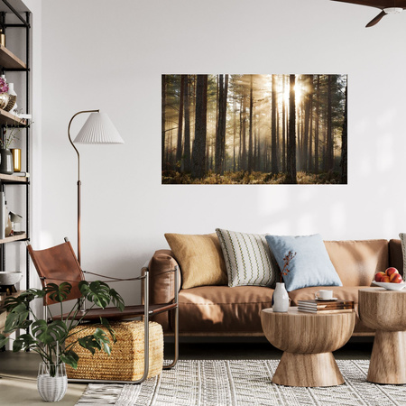 Canvas Print Sun in the Forest Cold Colors Grass 120x80 cm