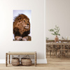 Canvas Print Head Lion Mane Wildness 40x50 cm