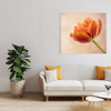 Canvas Print Botany Tulip 40x40 cm