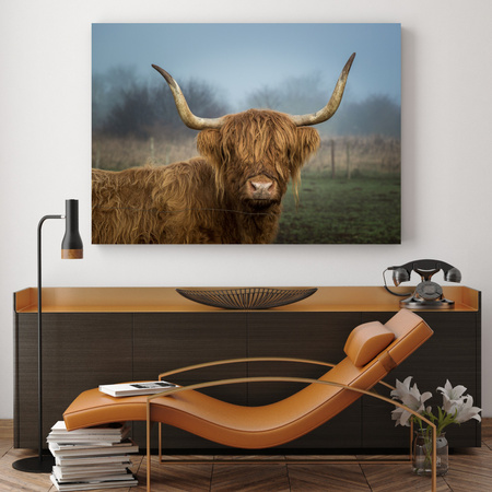 Canvas Print Animals Cow 40x30 cm