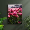 Canvas Print Botanical Tulips 30x40 cm