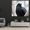 Canvas Print Animals Crow 40x40 cm