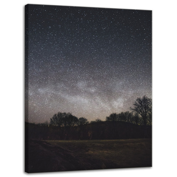 Canvas Print Space Starry Sky 30x40 cm