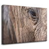 Canvas Print Animals Elephant Eye 40x30 cm