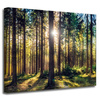 Canvas Print Forest Sun Trees Spring Morning 50x40 cm