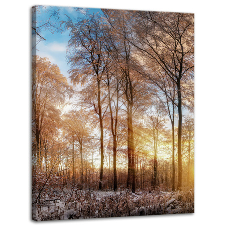 Canvas Print Trees Winter Rising Sun 30x40 cm
