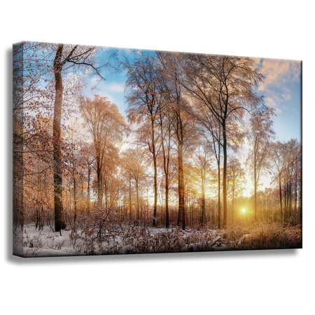 Canvas Print Trees Winter Rising Sun 60x40 cm