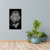 Canvas Print Gray Lion Face Pose King 80x120 cm