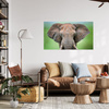 Canvas Print Elephant Face Tusks Gray Animal 100x80 cm