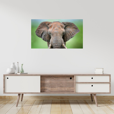Canvas Print Elephant Face Tusks Gray Animal 100x80 cm