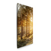 Canvas Print Birch Trees Sun Morning 40x120 cm