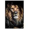 Canvas Print Adult Lion Animal 80x120