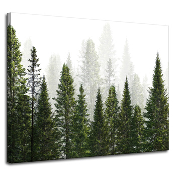 Canvas Print Rain Forest Nature Trees 100x80 cm