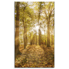 Canvas Print Sun Between Trees in the Forest 60x100 cm