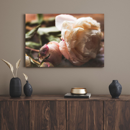 Canvas Print Botany Peony 40x30 cm