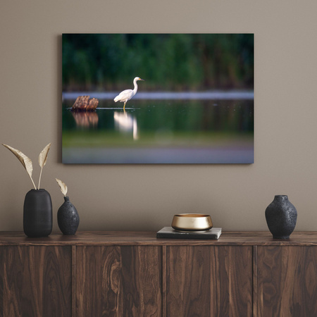 Canvas Print Animals Heron 40x30 cm