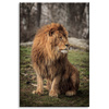 Canvas Print Posing Lion in the Background of Nature 80x120 cm