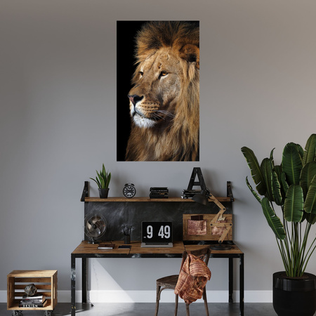 Canvas Print Terrible Majestic Lion Animal 80x120 cm