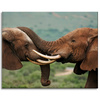 Canvas Print Elephant Couple Close Together Nature Beauty of Nature 100x80 cm