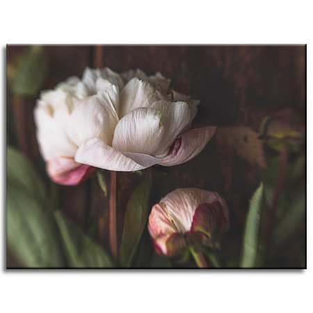 Canvas Print Botany Peonies 40x30 cm