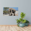 Canvas Print Large Gray Elephant Nature Rocks Sun 100x80 cm