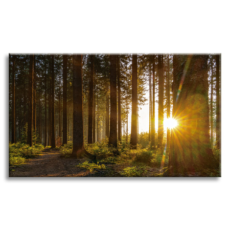 Canvas Print Sunset Forest Trees Nature 120x80 cm