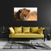 Canvas Print Lion Face in Sunlight 100x80 cm