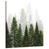 Canvas Print Rain Forest Nature Trees 80x100 cm