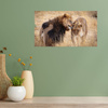 Canvas Print Lion Couple Love Savannah Nature 100x80 cm