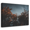 Canvas Print Nature Orange Tree Crowns 40x30 cm
