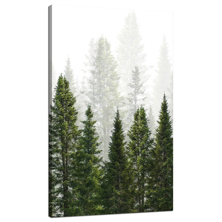 Canvas Print Rain Forest Nature Trees 70x120 cm