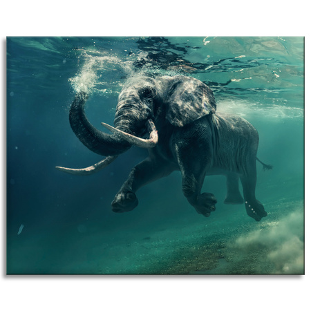 Canvas Print Swimming Elephant in Water Art 100x80 cm