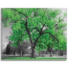 Canvas Print Black Trees Green Leaves Art 100x80 cm