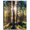 Canvas Print Forest Sun Trees Spring Morning 40x50 cm