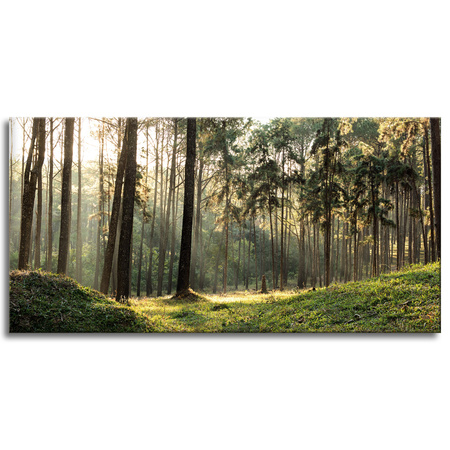 Canvas Print Forest Trees Sun Nature 120x60 cm
