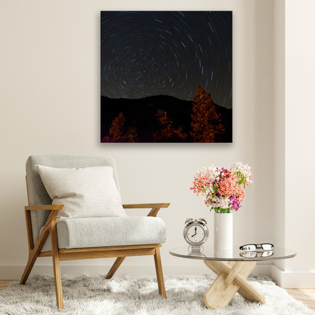Canvas Print Nature Forest Night Mountains Abstract Trees 90x90