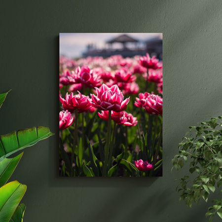 Canvas Print Botanical Tulips 30x40 cm