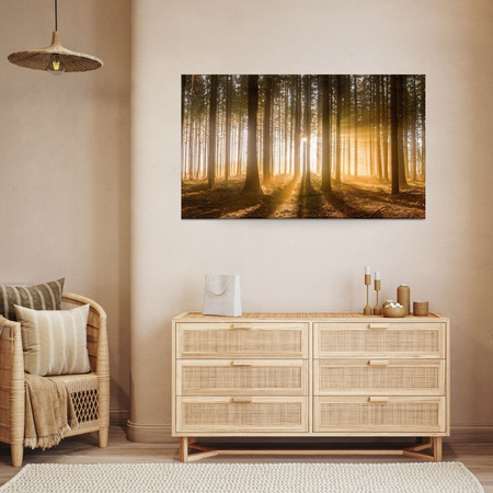 Canvas Print Sun in the Forest Light Tree 100x80 cm