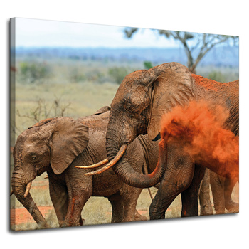 Canvas Print Elephant Pair Savannah Africa Nature 100x80 cm