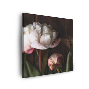 Canvas Print White Flower Nature Vintage Retro 90x90