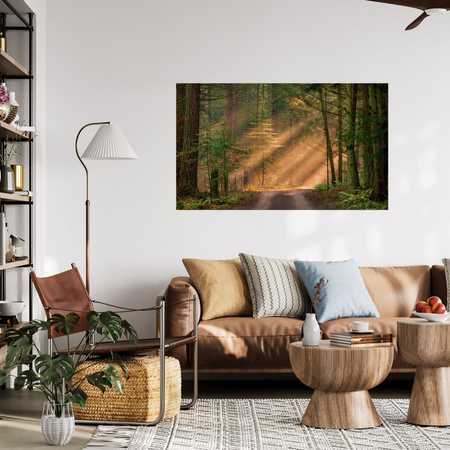 Canvas Print Path in the Forest Trees Nature 120x80 cm