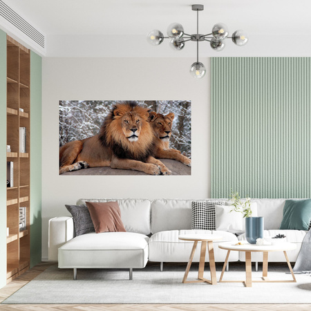 Canvas Print Pair of Lions Lying Nature 100x80 cm