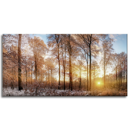 Canvas Print Trees Winter Rising Sun 120x60 cm
