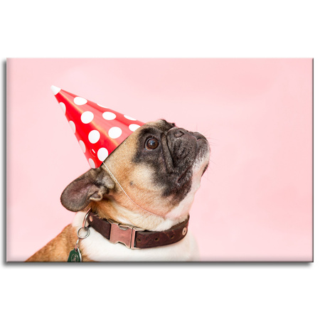 Canvas Print Youth Birthday Pug 90x60