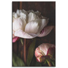 Canvas Print White Flower Nature Vintage Retro 80x120