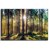 Canvas Print Forest Sun Trees Spring Morning 60x40 cm